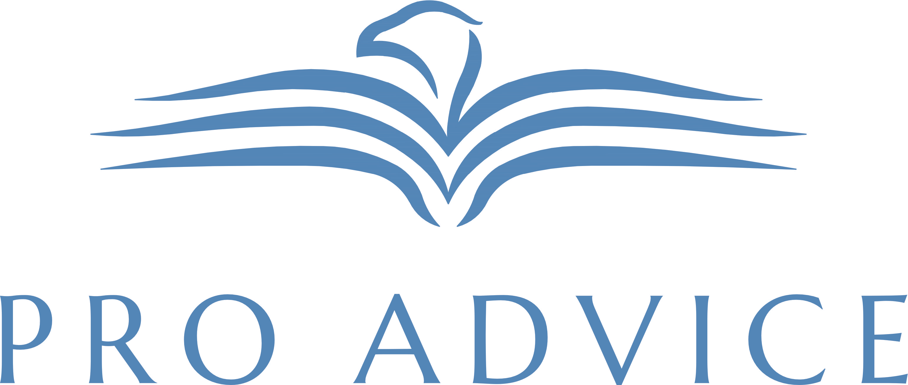 Logo PRO ADVICE DOO veći original