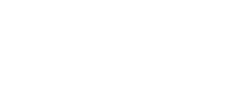 Logo-PRO ADVICE DOO beli